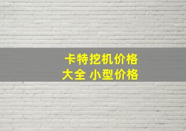 卡特挖机价格大全 小型价格